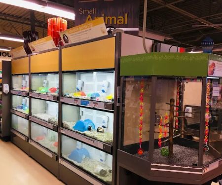 Petco
