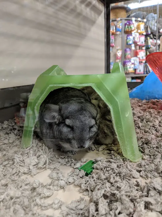 Petco Picture 6