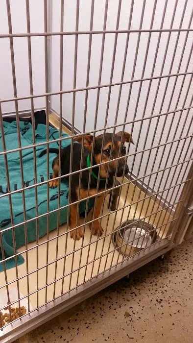 Petco Picture 8