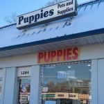 The Pet Shoppe