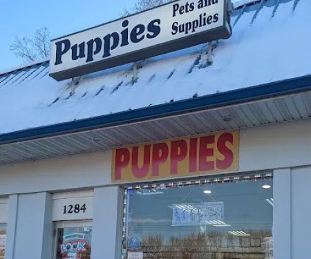 The Pet Shoppe