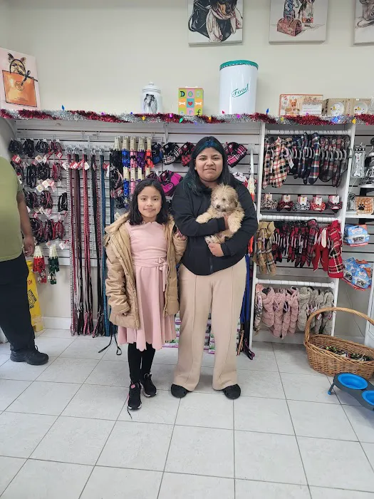 The Pet Shoppe Picture 2