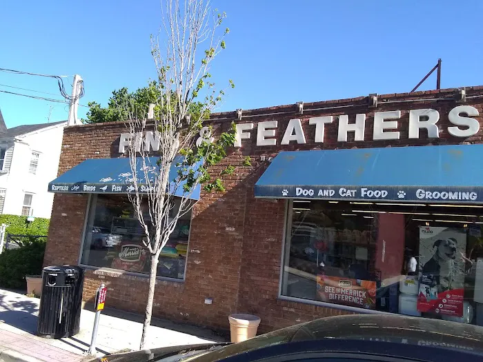 Fins & Feathers Picture 4