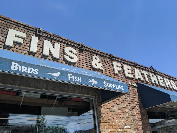 Fins & Feathers Picture 9
