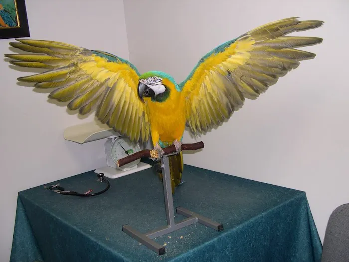 Animal Hospital of Warwick Picture 8