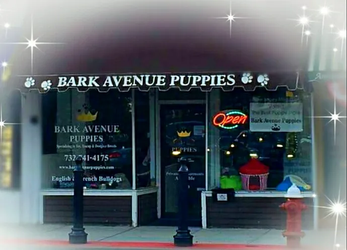 Bark Avenue Puppies Picture 2
