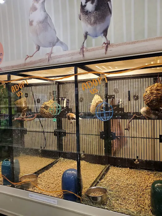 Banfield Pet Hospital Picture 3