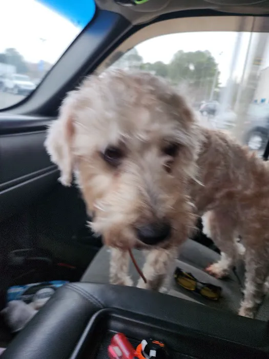 Banfield Pet Hospital Picture 4