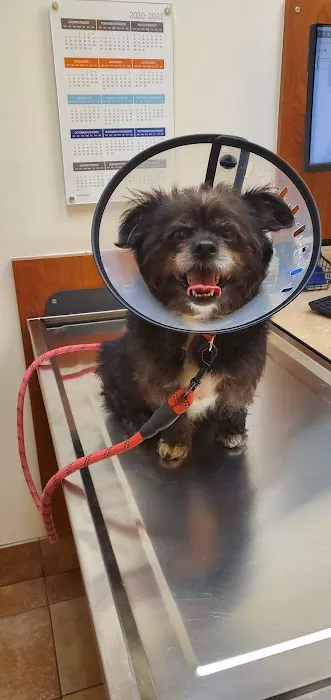 Banfield Pet Hospital Picture 7