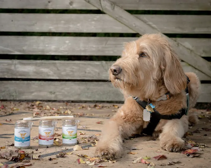 Gentle Earth Pets Picture 1