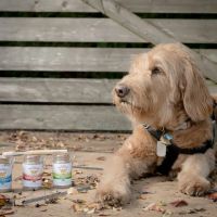 Gentle Earth Pets ico