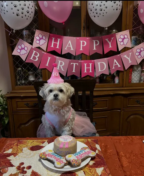 Roxanne’s Gourmet Pet Bakery Picture 3