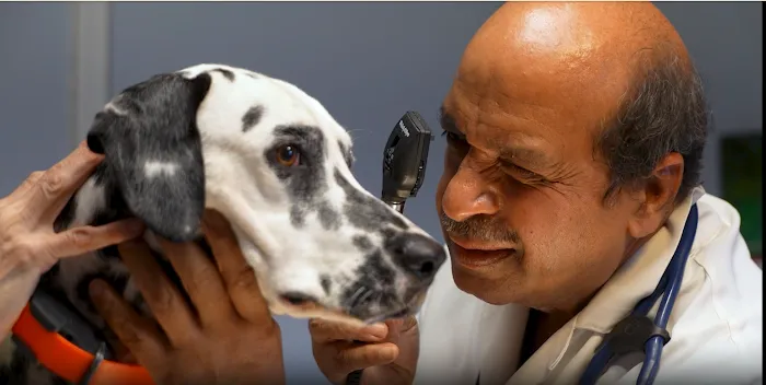 Compassion Veterinary Clinic Picture 9