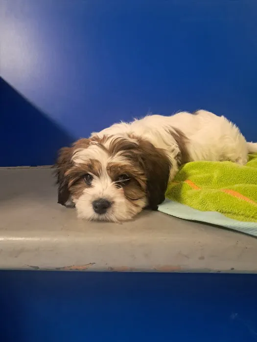 Evesham Veterinary Clinic Picture 2