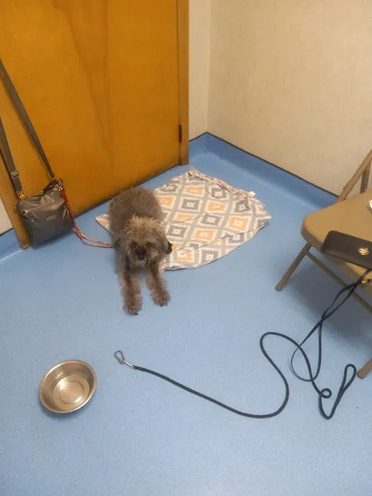 Evesham Veterinary Clinic Picture 4