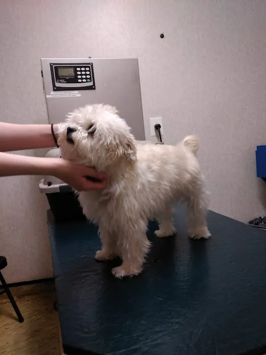 Evesham Veterinary Clinic: Bell Jaclyn DVM Picture 3