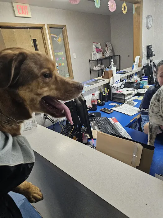 Evesham Veterinary Clinic: Bell Jaclyn DVM Picture 4