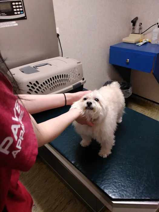 Evesham Veterinary Clinic: Bell Jaclyn DVM Picture 7