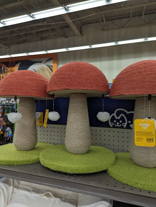 Petco Picture 8