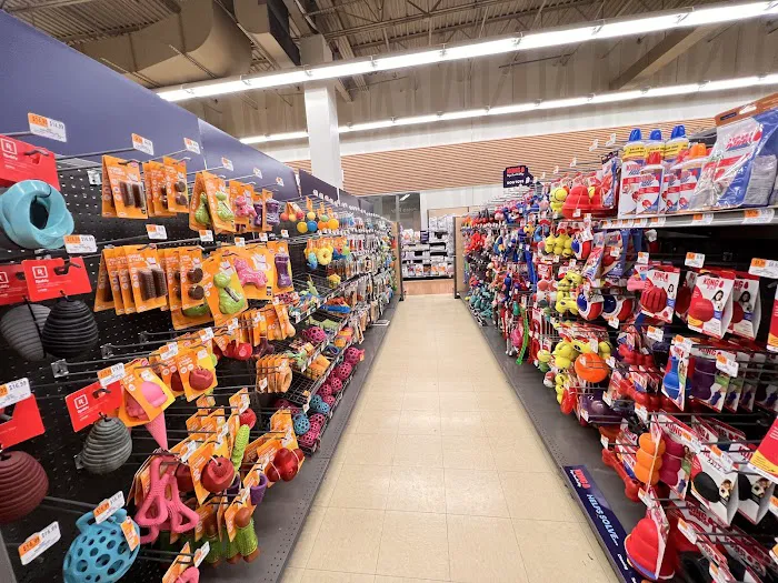 Petco Picture 10