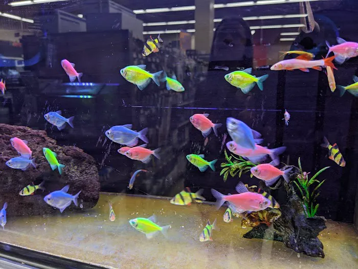 Petco Picture 9