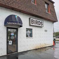 Paterson Bird Store ico