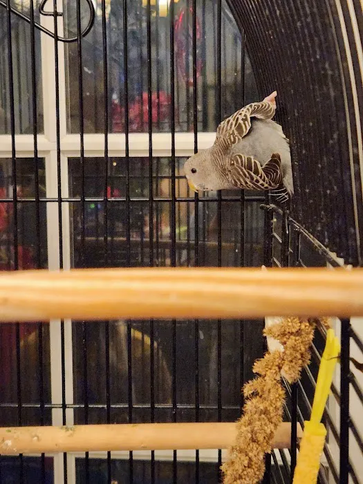 Paterson Bird Store Picture 4