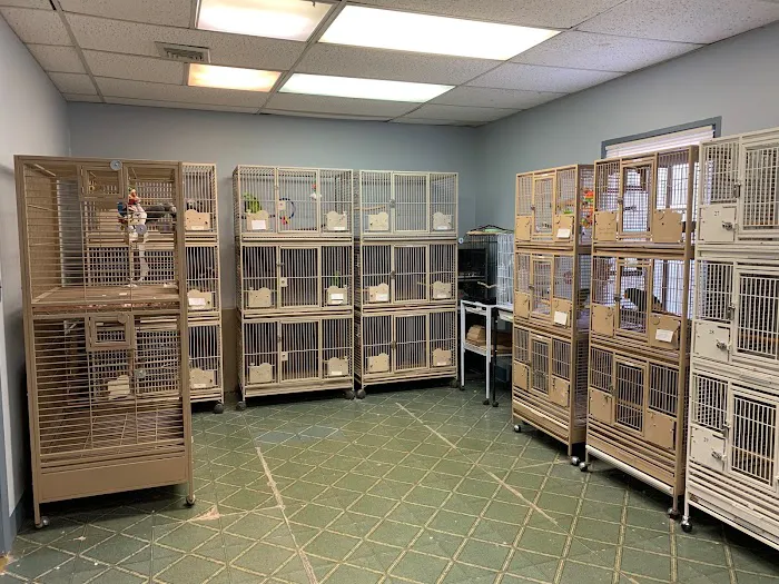 Paterson Bird Store Picture 5