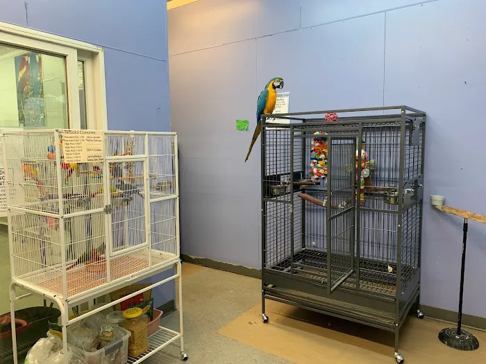 Paterson Bird Store Picture 10