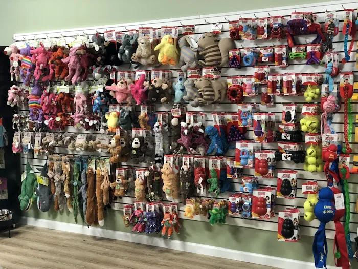 Well Bred - The Healthy Pet Marketplace, Self Wash & DOG GROOMERS Picture 9