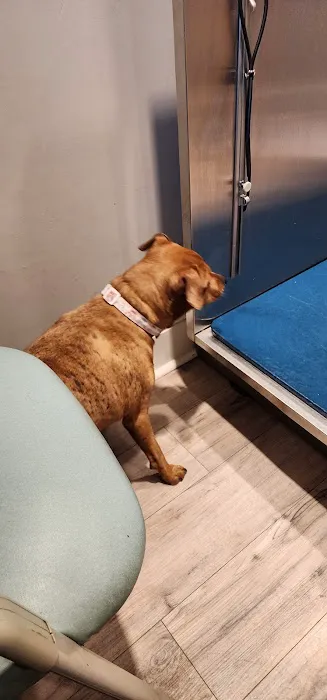 County Line Veterinary Hospital Picture 3