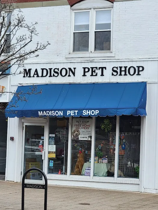 Madison Pet Shop Picture 1