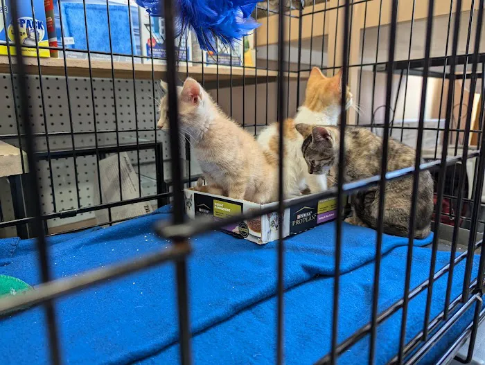 Madison Pet Shop Picture 3