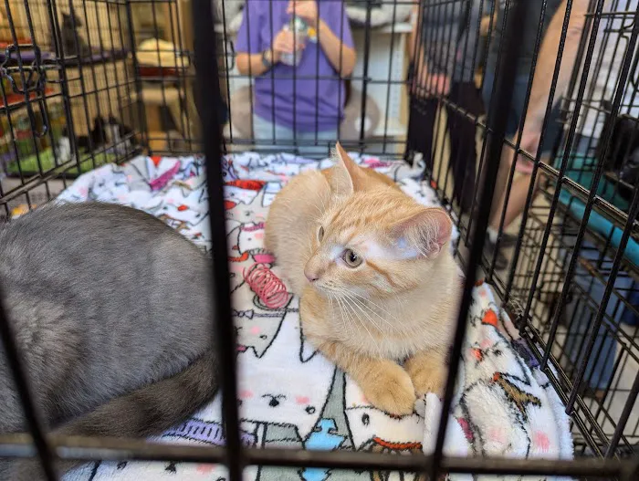 Madison Pet Shop Picture 2