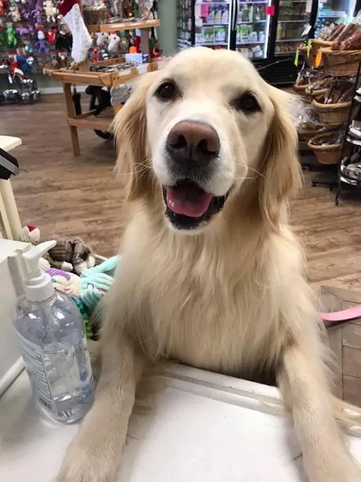 Well Bred - The Healthy Pet Marketplace Picture 10