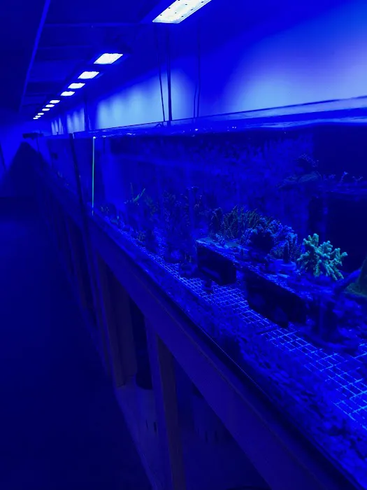 Aqua Reef Aquatics Inc Picture 8