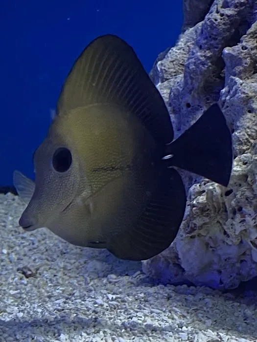 Aqua Reef Aquatics Inc Picture 10