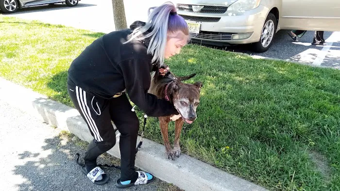 Banfield Pet Hospital Picture 9