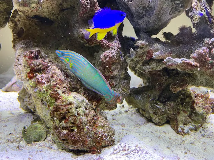 Michael's NYAquatic Picture 2