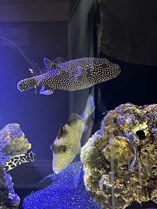Michael's NYAquatic Picture 5