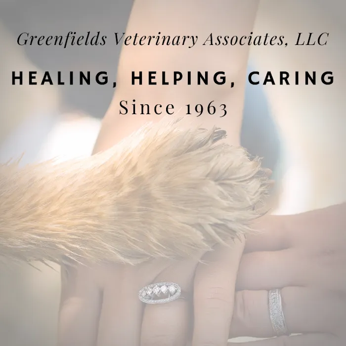 Greenfields Veterinary Associates Picture 3