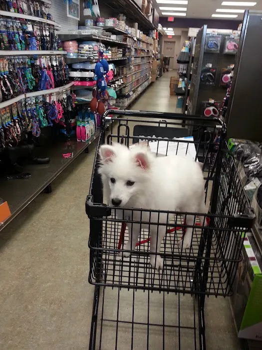 Petco Picture 3