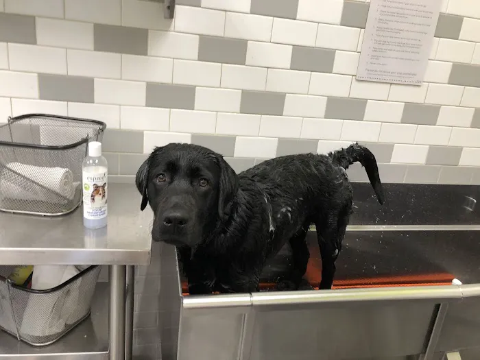 Petco Picture 2