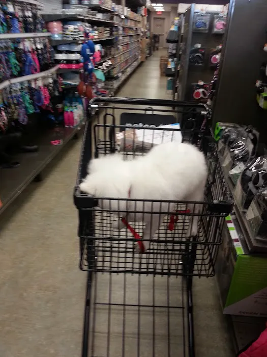 Petco Picture 10