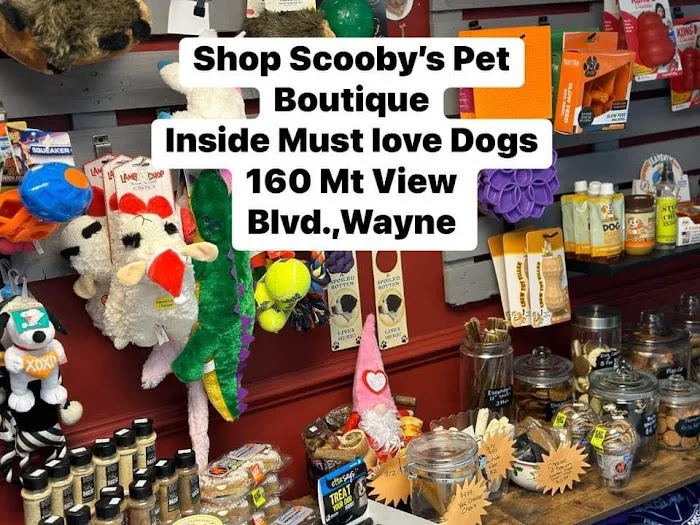 SCOOBYS PET BOUTIQUE Picture 5