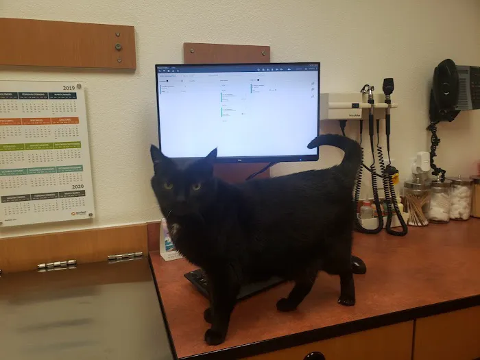 Banfield Pet Hospital Picture 4