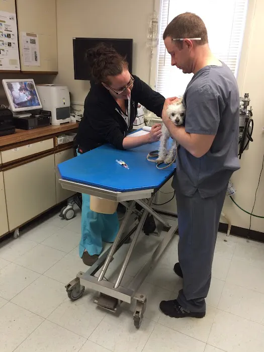 Gloucester County Animal Hospital Picture 3