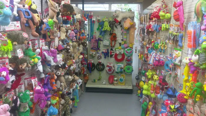 Plaza Pet World Picture 6