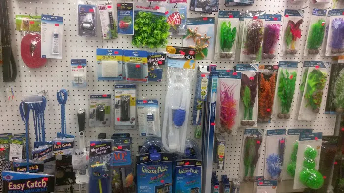 Plaza Pet World Picture 4