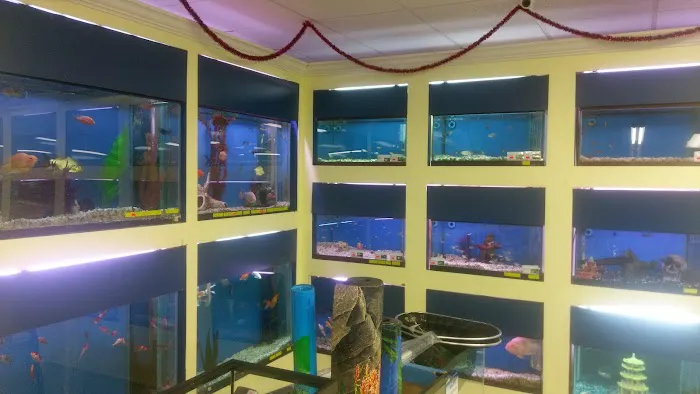 Plaza Pet World Picture 10